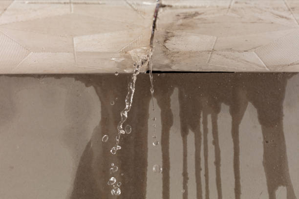 Professional Burst Pipe Cleanup technician working in Freeman, SD